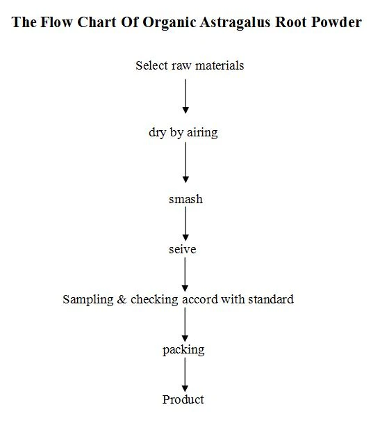 flow chart of Organic Astragalus Root Powder