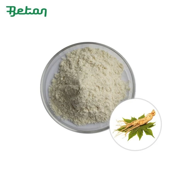 Panax Ginseng em Pó Orgânico