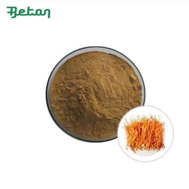 Extrato Orgânico de Cordyceps Sinensis