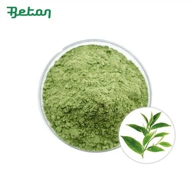 Matcha orgânico em pó a granel