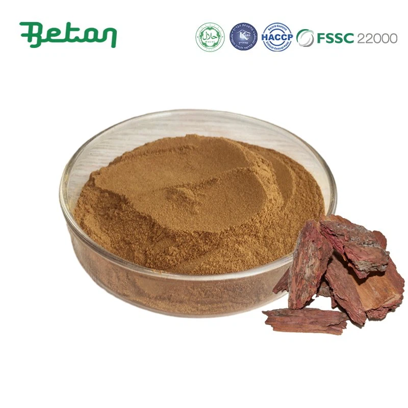 Extrato de casca de pinheiro em pó