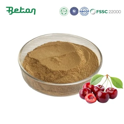 Extrato de Baga de Acerola Orgânica